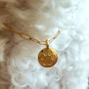 Pet Necklace with Mini Paw Print Medallion